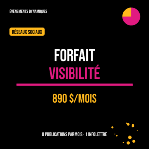 Forfait VISIBILITÉ — Réseaux sociaux