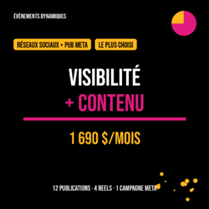 Forfait VISIBILITÉ + CONTENU — Réseaux sociaux et publicité Meta